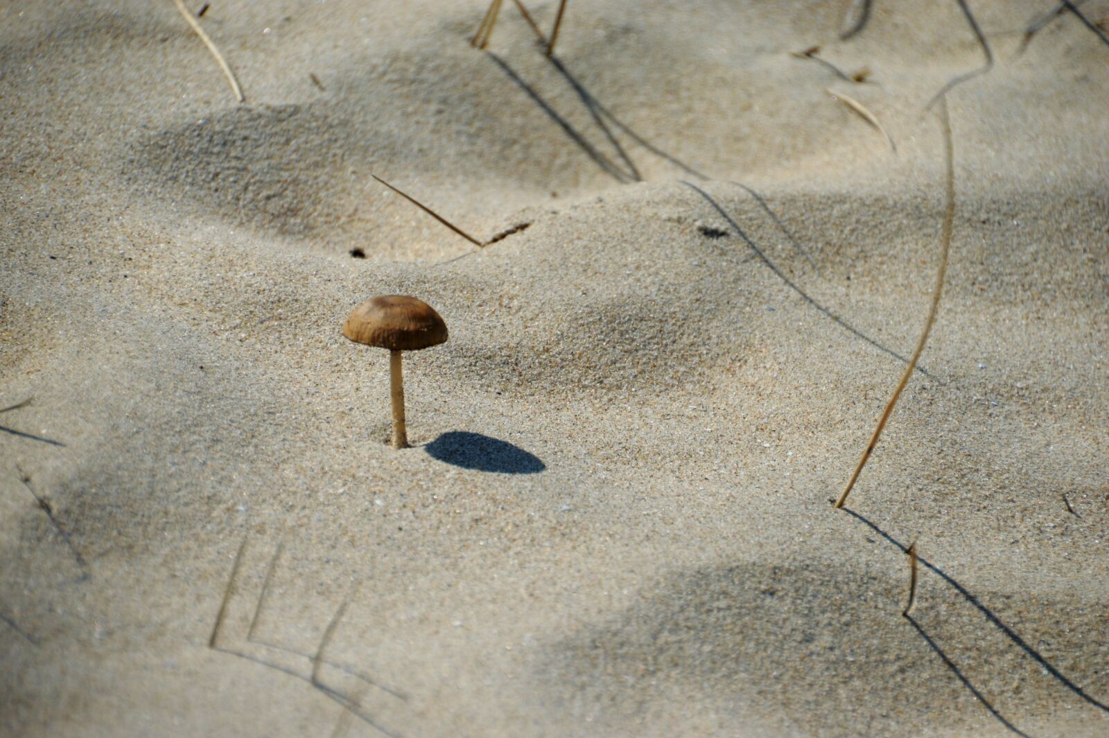 Nikon D3200 sample photo. Sea, beach, hauts de photography