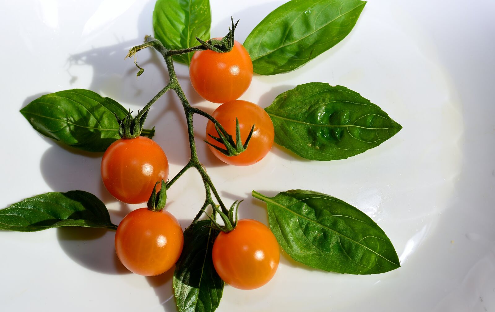 Nikon D5200 sample photo. Tomatoes, garden, yellow photography