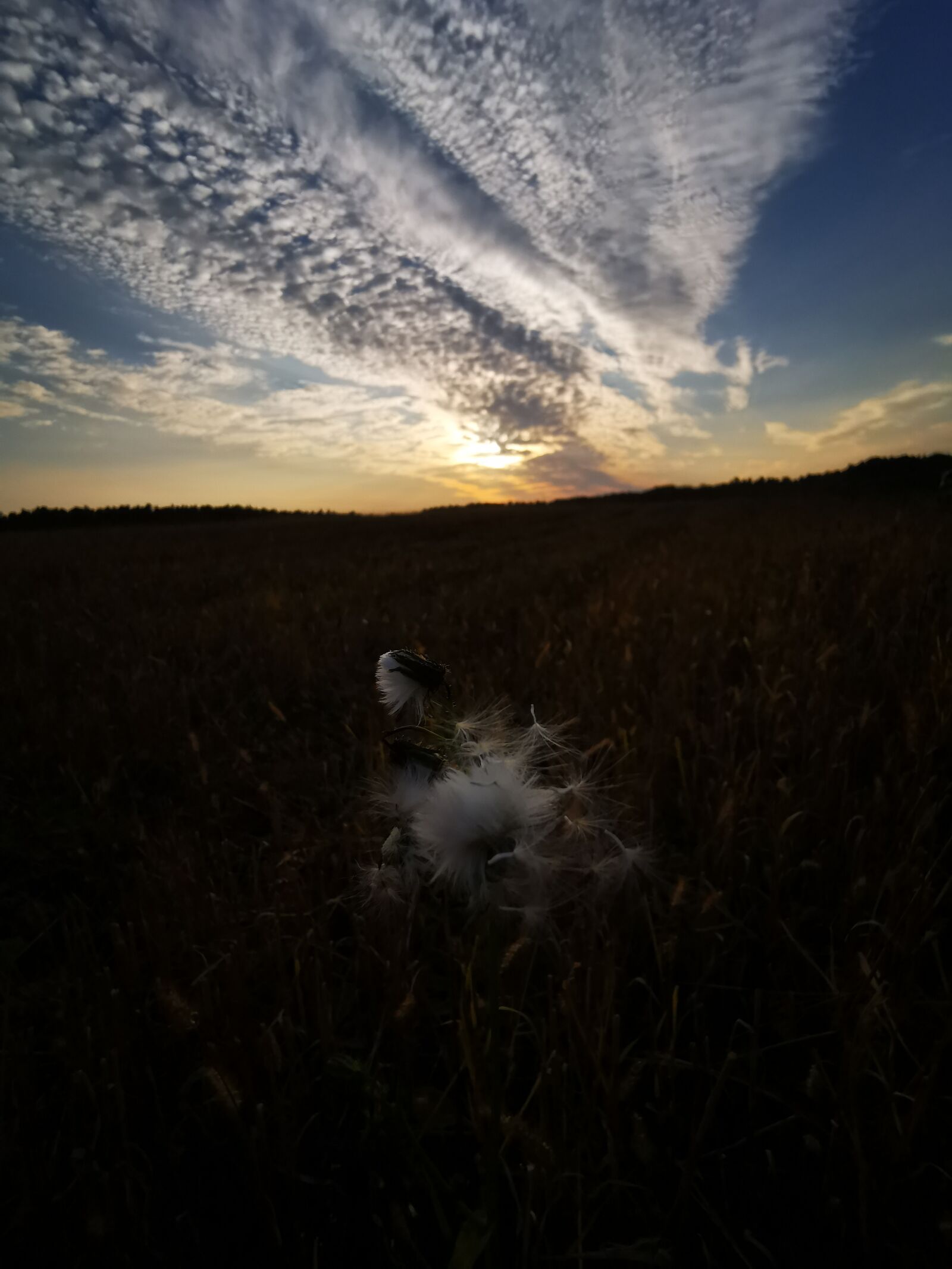 HUAWEI VOG-L29 sample photo. Heaven, sky, clouds photography