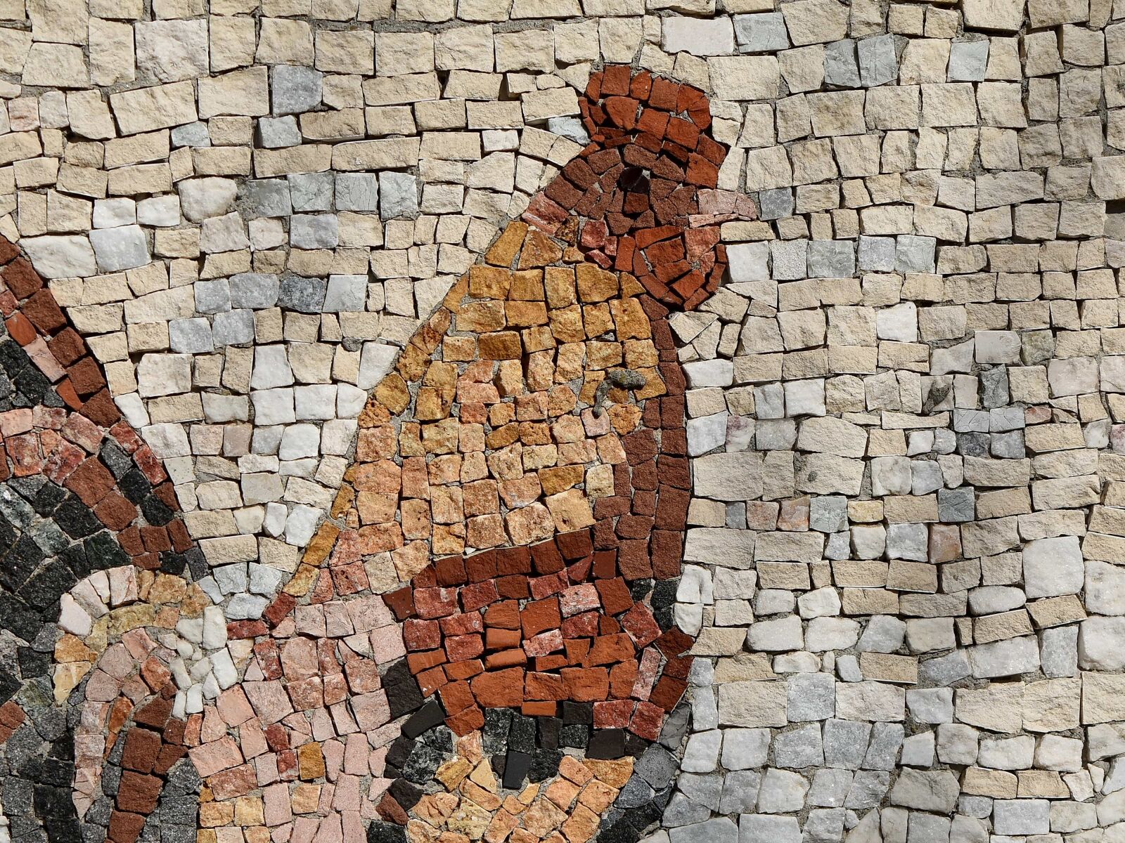 Nikon D5500 sample photo. Art, mosaic, rooster, stone photography