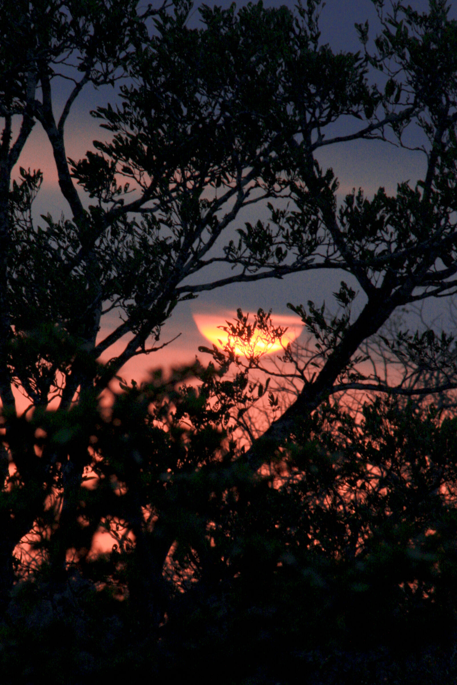 Canon EOS 450D (EOS Rebel XSi / EOS Kiss X2) sample photo. Night, red, sunset, sunset photography