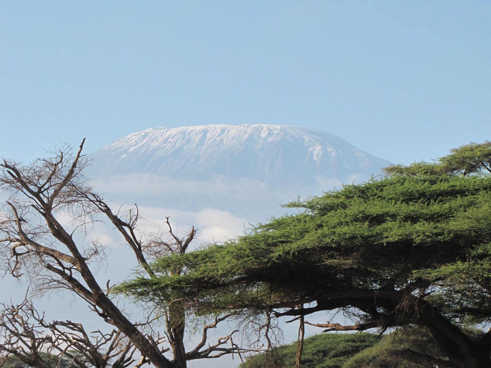 Canon PowerShot SX10 IS sample photo. Kenya, kilimanjaro, amboseli photography