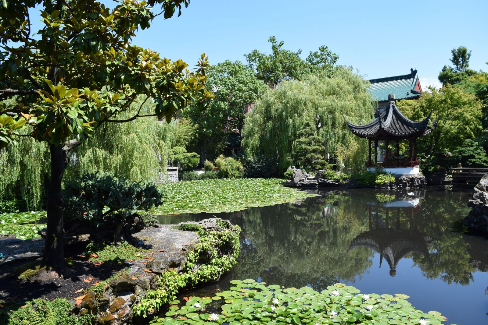 Nikon D3300 sample photo. Garden, mindfulness, meditation photography