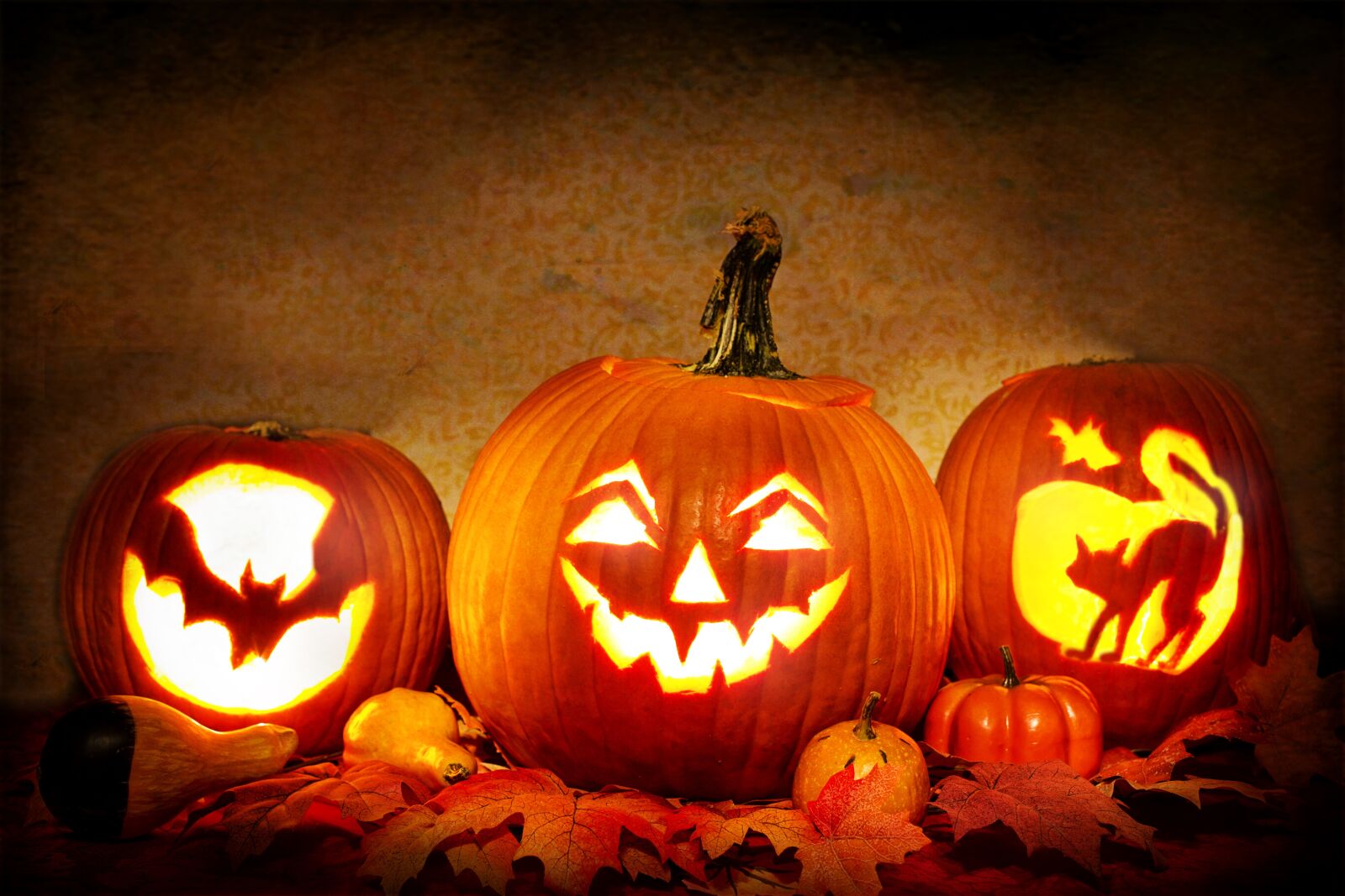 Canon EF 50mm F1.4 USM sample photo. Jack-o-lanterns, lit, pumpkins photography
