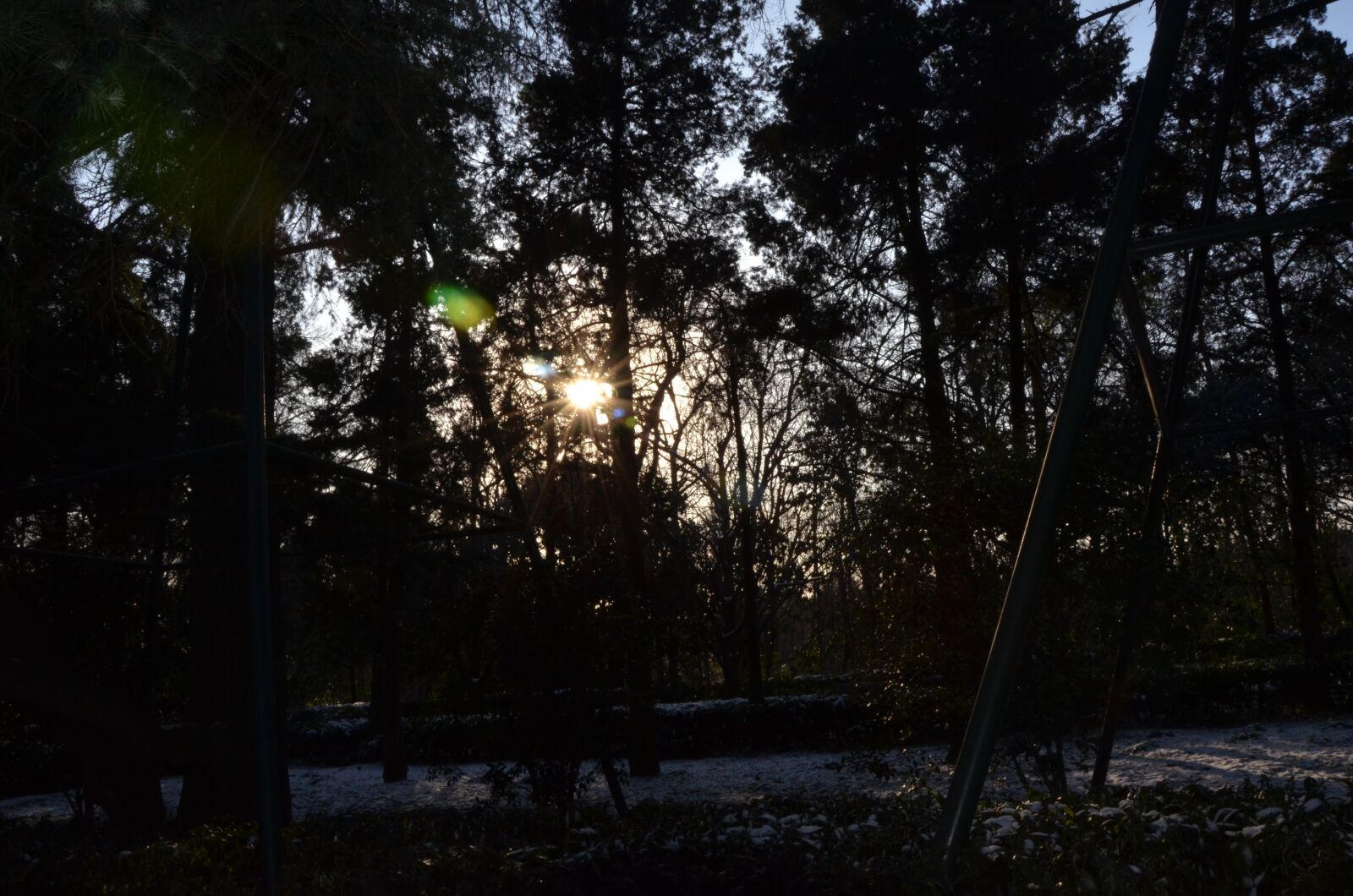 Nikon D7000 sample photo. Sun, sunshine, sunset photography