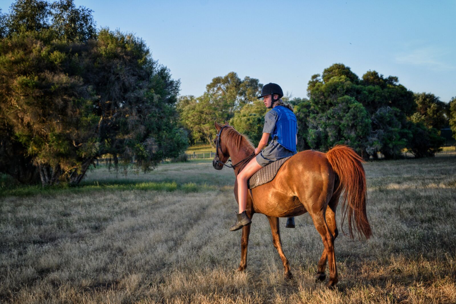 Nikon D3300 sample photo. Horse, rider, riding photography