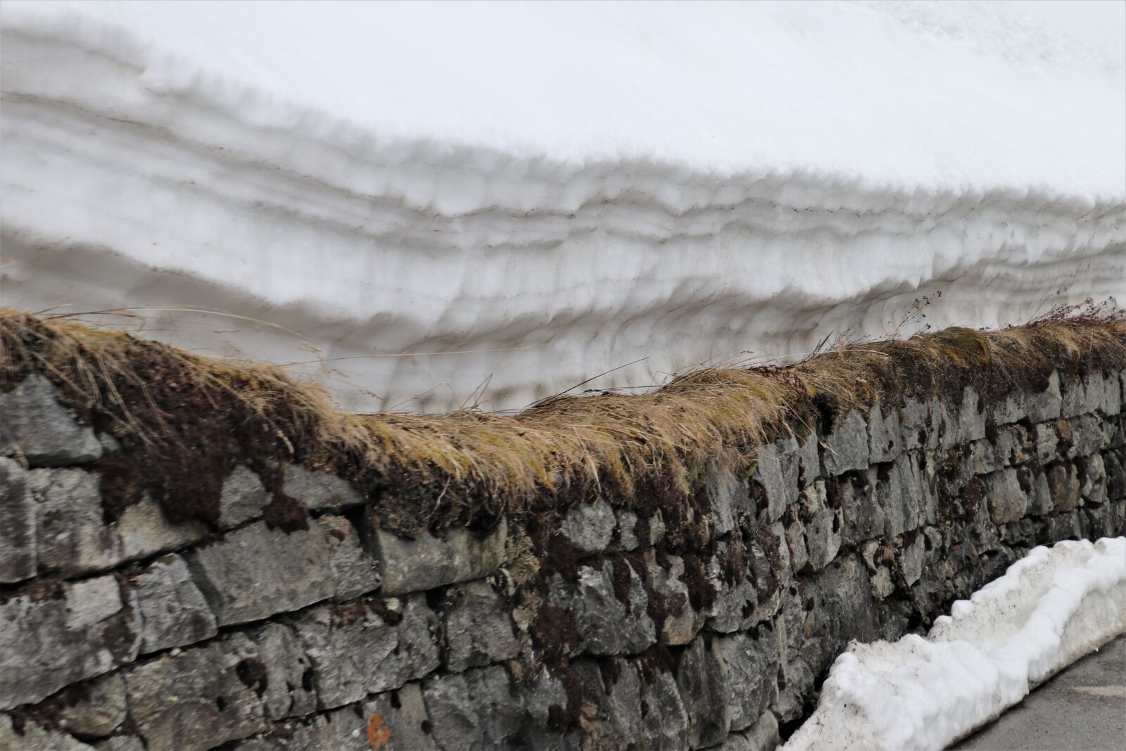 Canon EOS 80D sample photo. Precipitation, snow, layer photography
