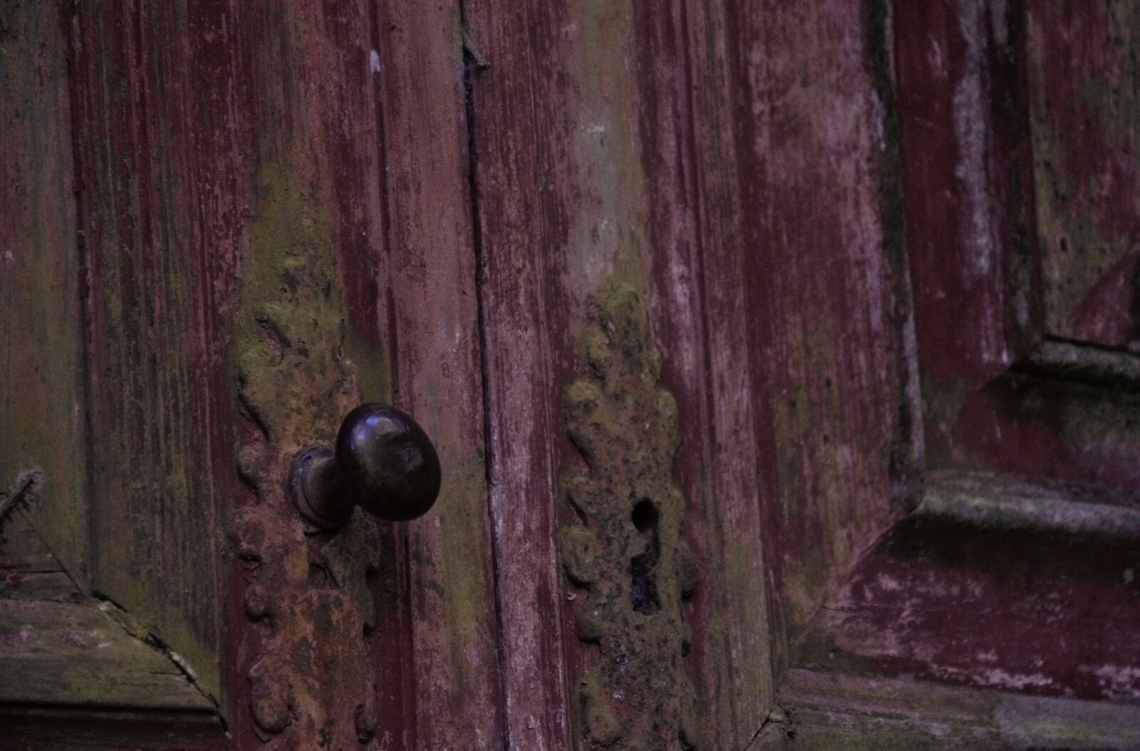 Nikon D5100 sample photo. Door, door handle, abandoned photography
