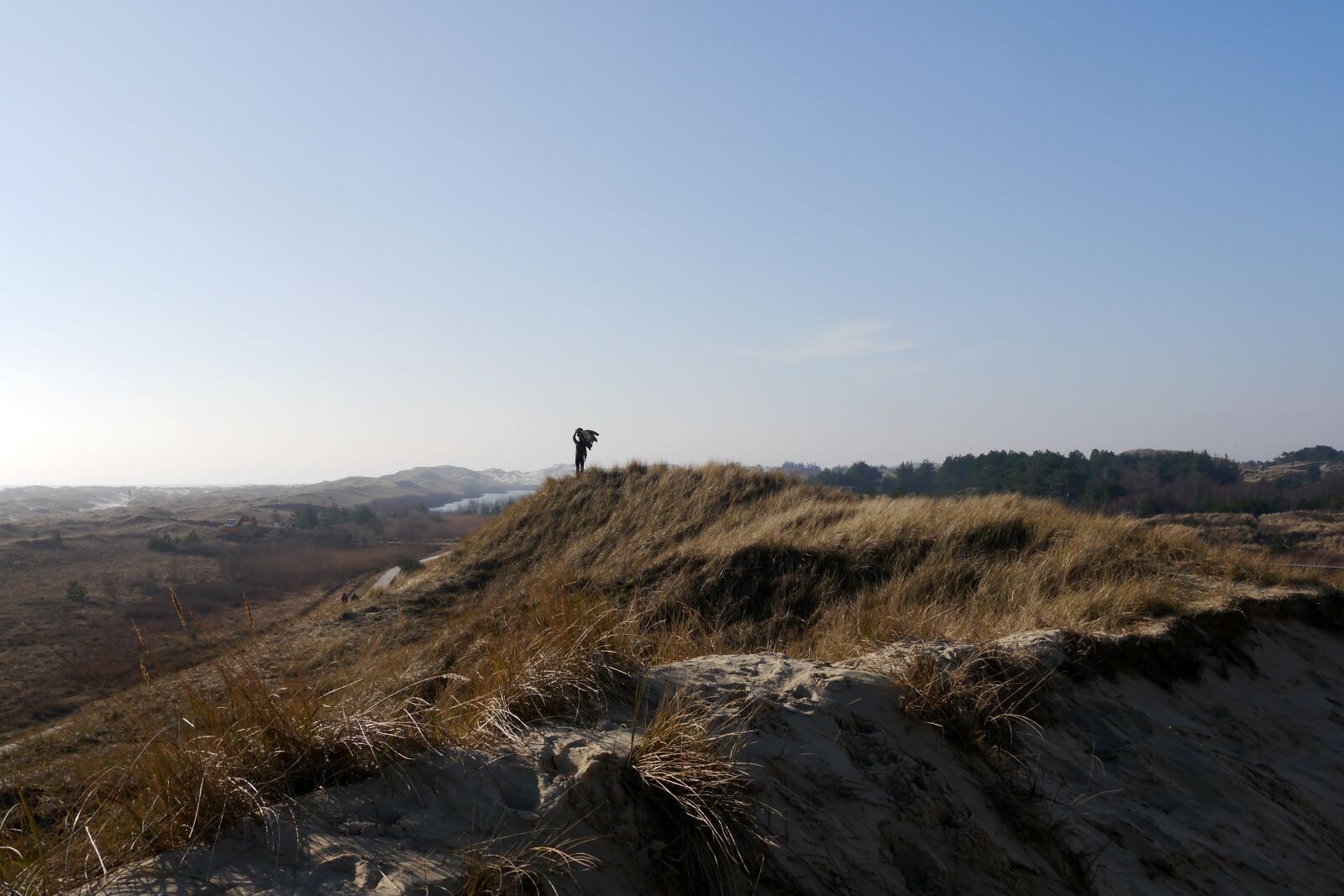 Panasonic Lumix DMC-G5 sample photo. Amrum, island, nordfriesland photography