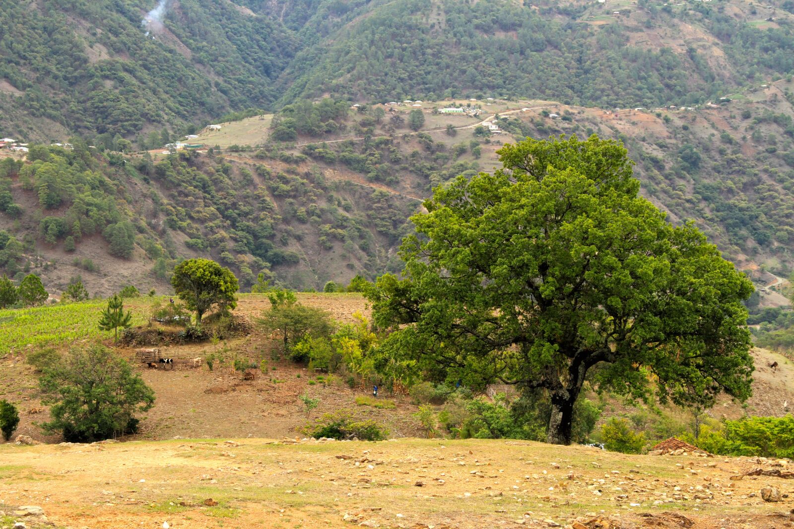 Canon EOS 7D sample photo. Landscape, sky, clouds photography