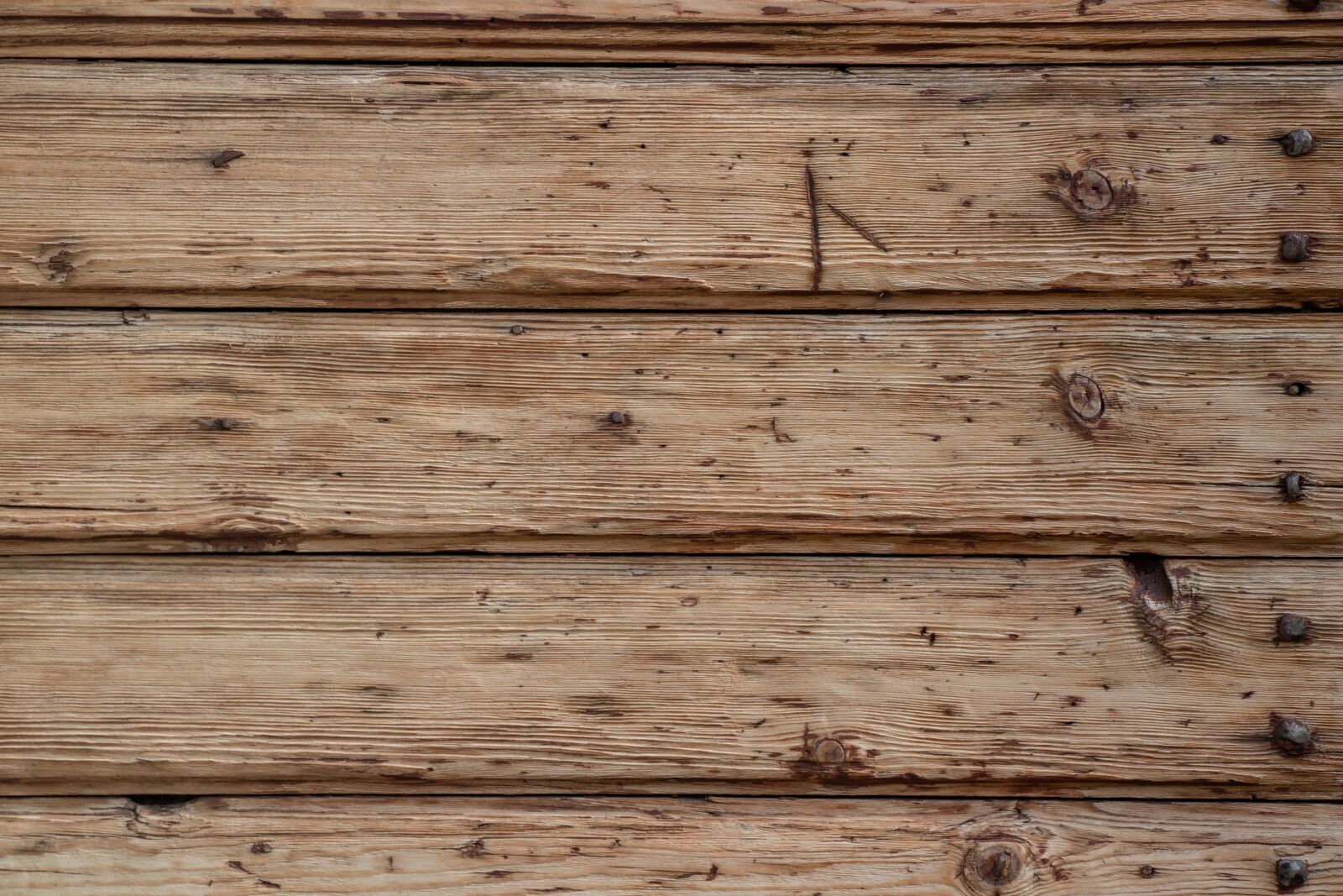 Canon EOS 100D (EOS Rebel SL1 / EOS Kiss X7) sample photo. Fence, wood fence, wood photography