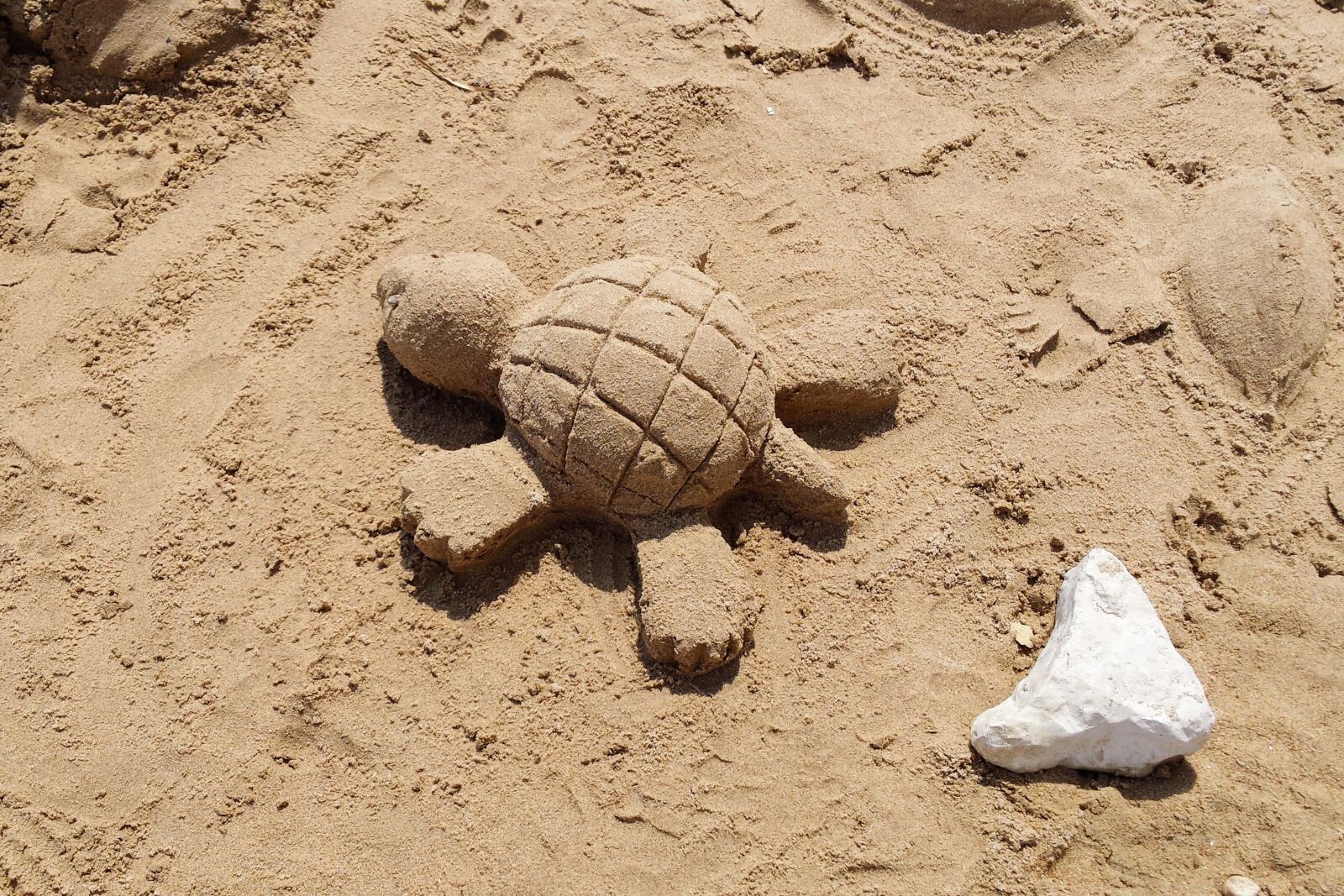 Samsung Galaxy S4 sample photo. Sand, turtle, holiday photography
