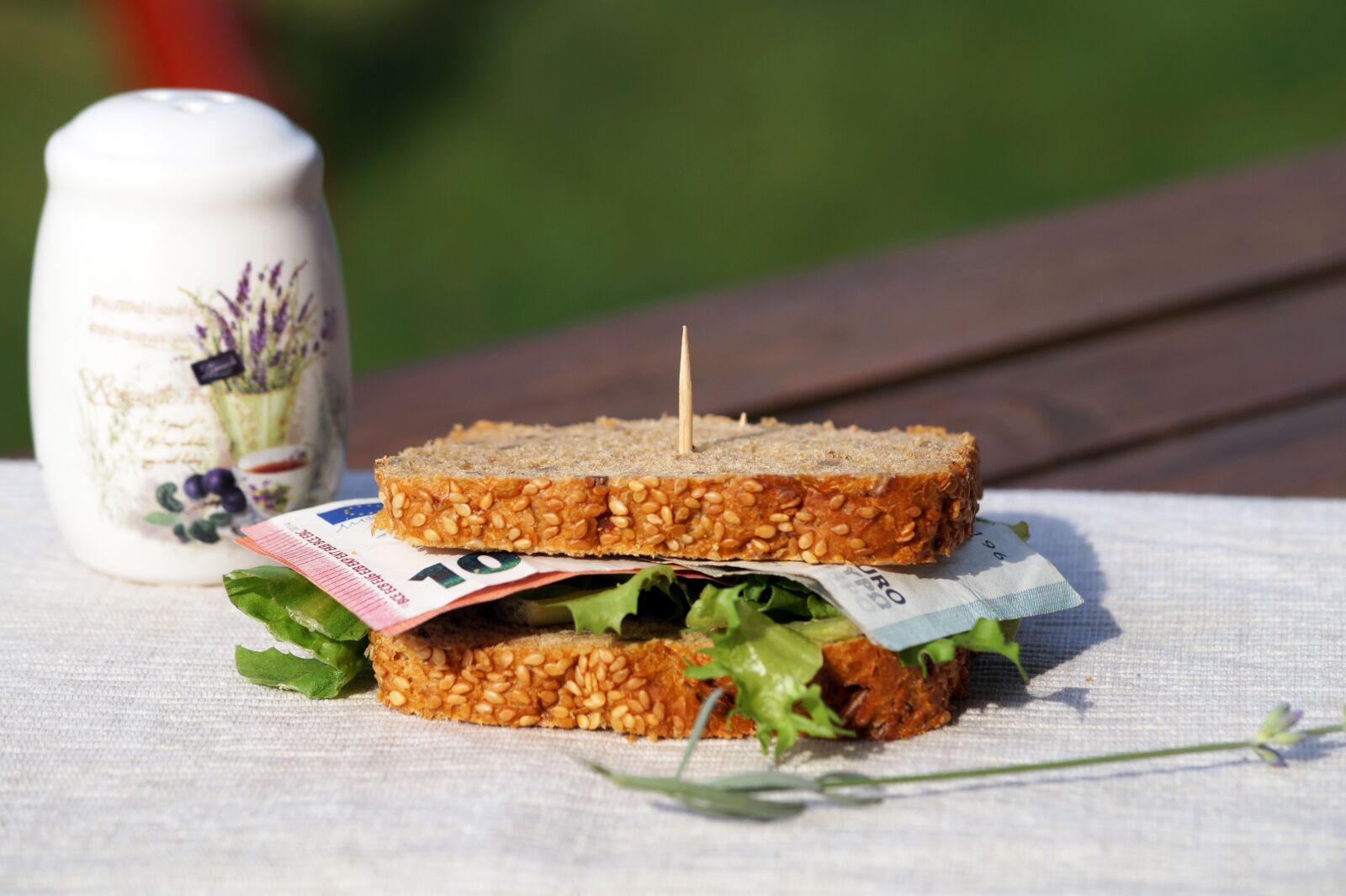 Sony SLT-A58 + Sony DT 55-200mm F4-5.6 SAM sample photo. Euro, sandwich, money photography