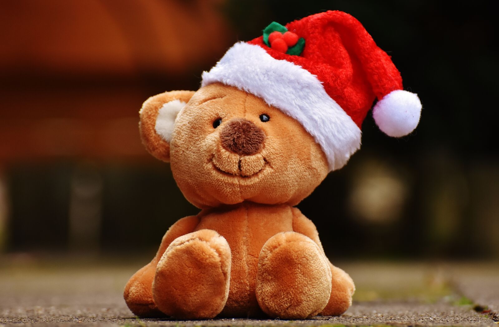 Nikon D7200 sample photo. Christmas, teddy, soft toy photography