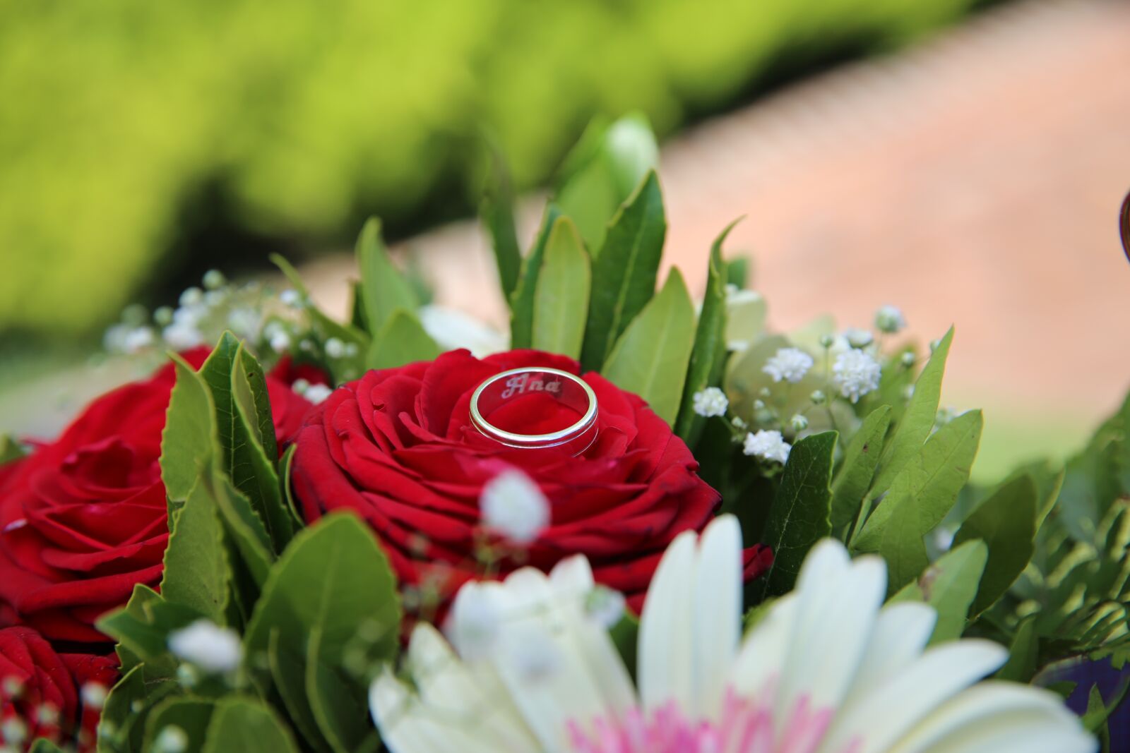 Canon EF 24-70mm F2.8L II USM sample photo. Ring, rose, engagement photography