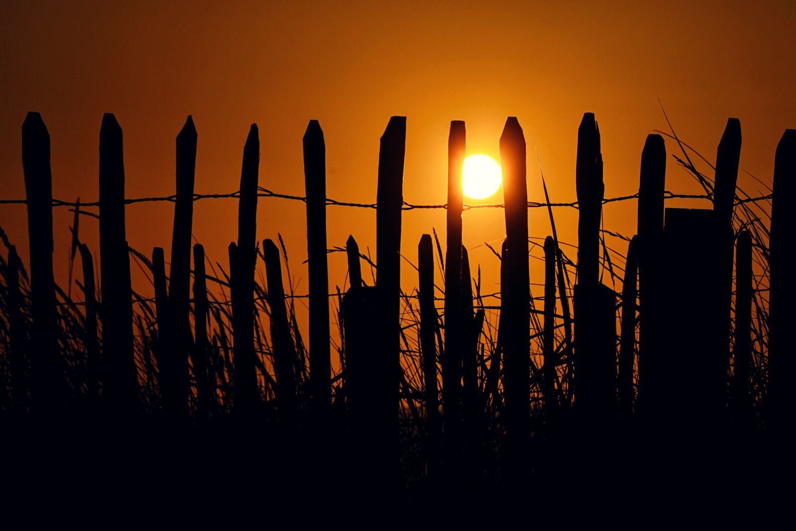 Canon EOS 1100D (EOS Rebel T3 / EOS Kiss X50) sample photo. Sea, fence, fence post photography