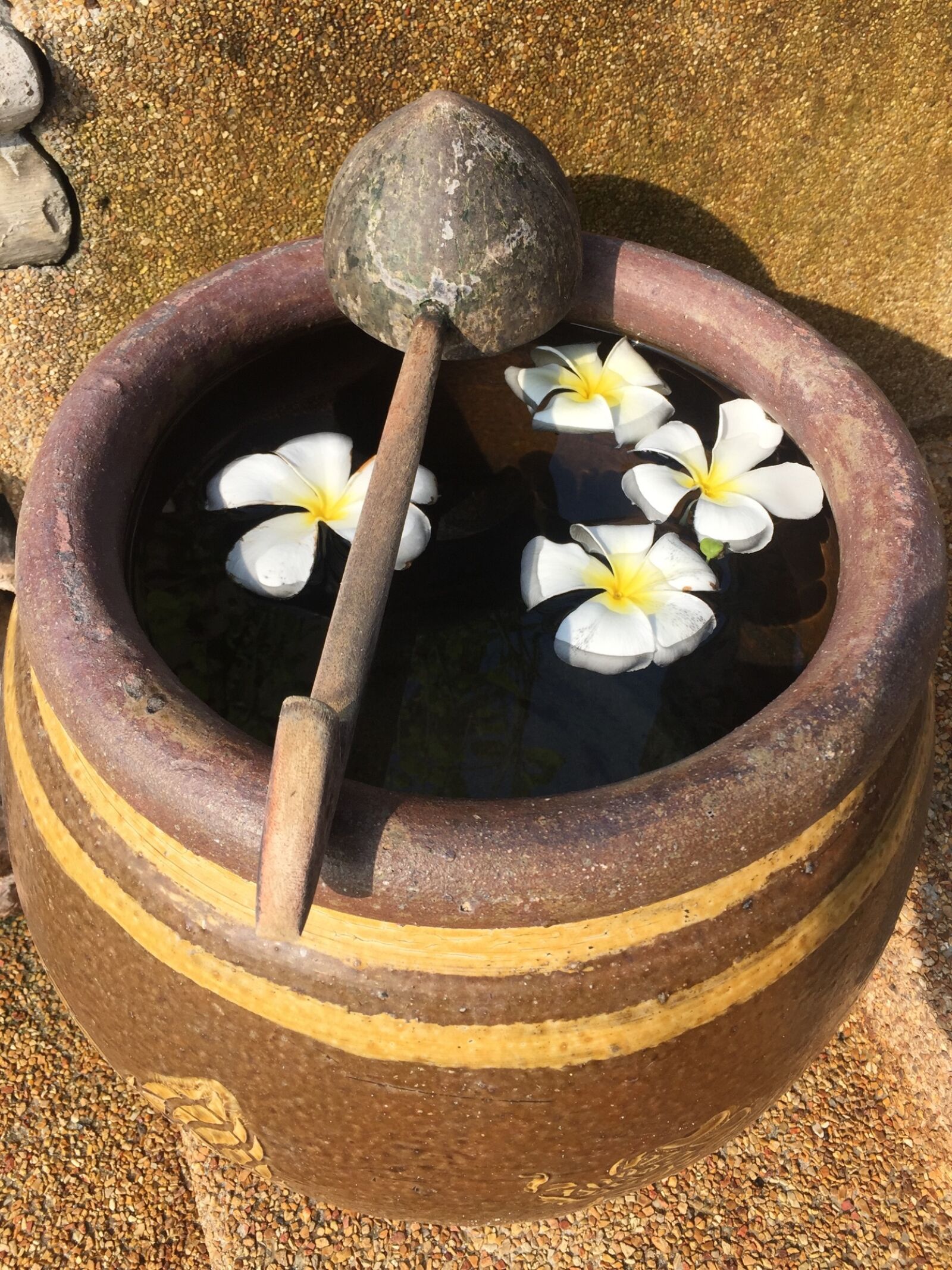Apple iPhone 6 sample photo. Wash, water, clean photography