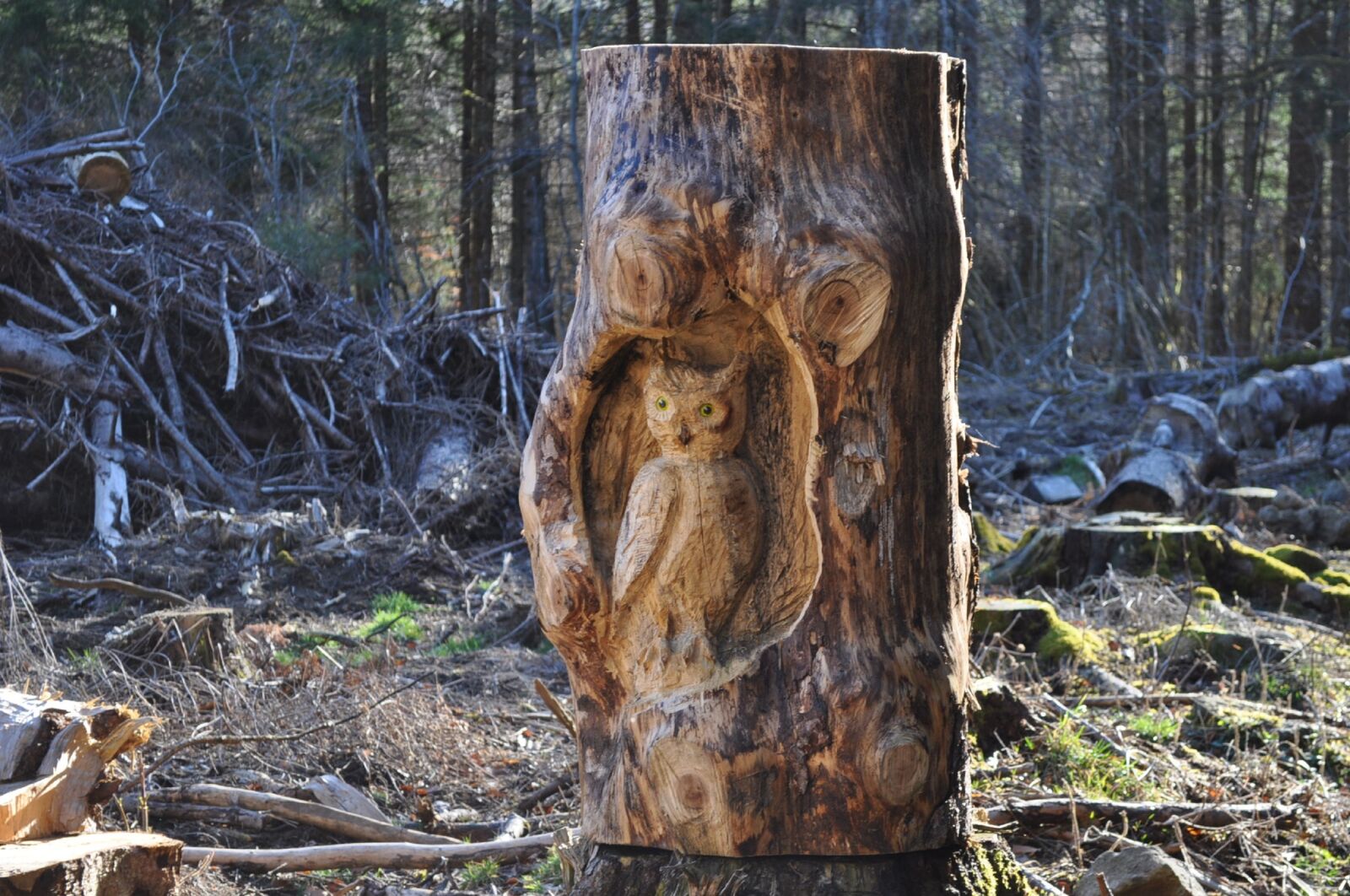 Nikon D5000 sample photo. Wood, sculpture, bird photography