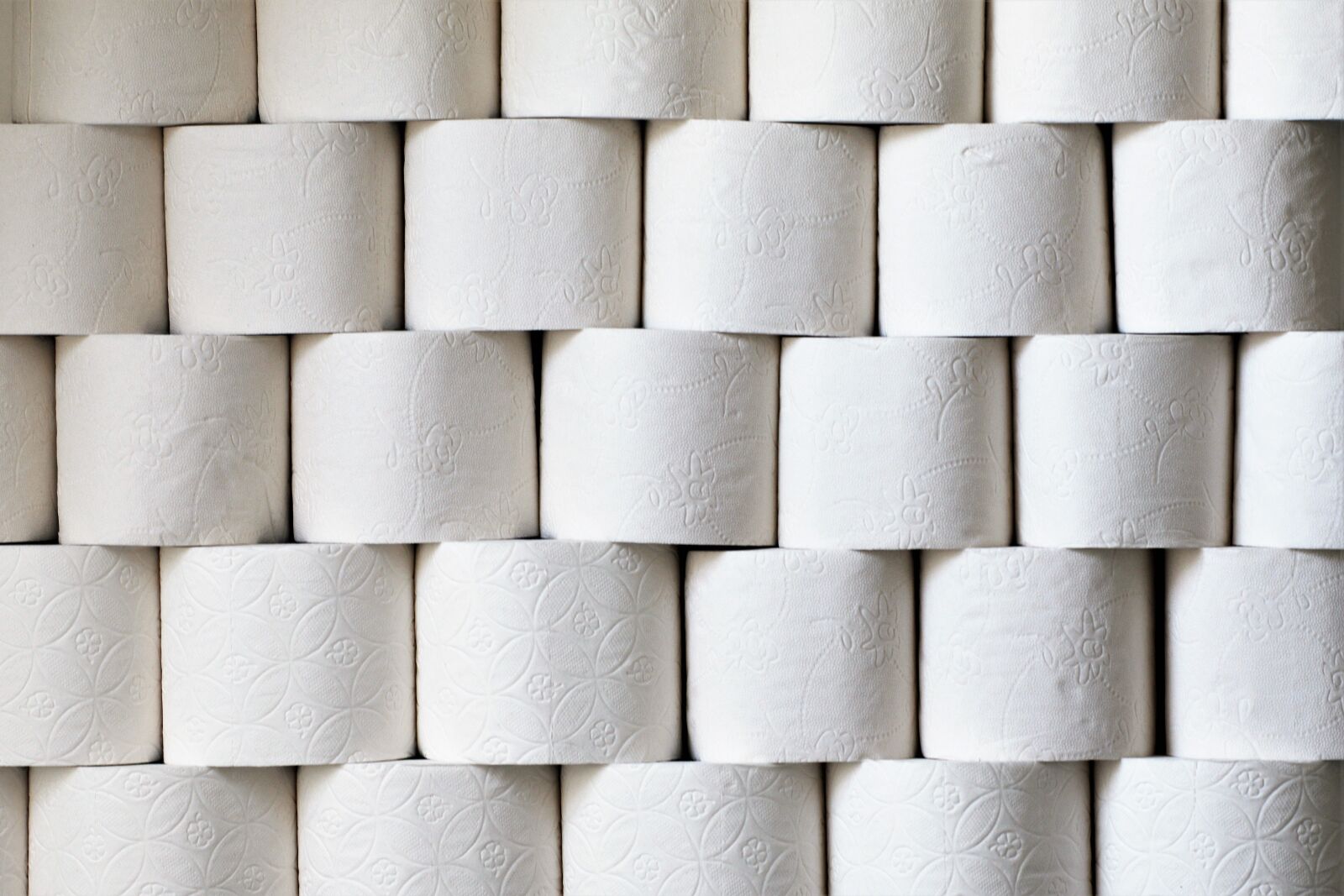 Nikon D500 sample photo. Corona, toilet paper, hamsters photography