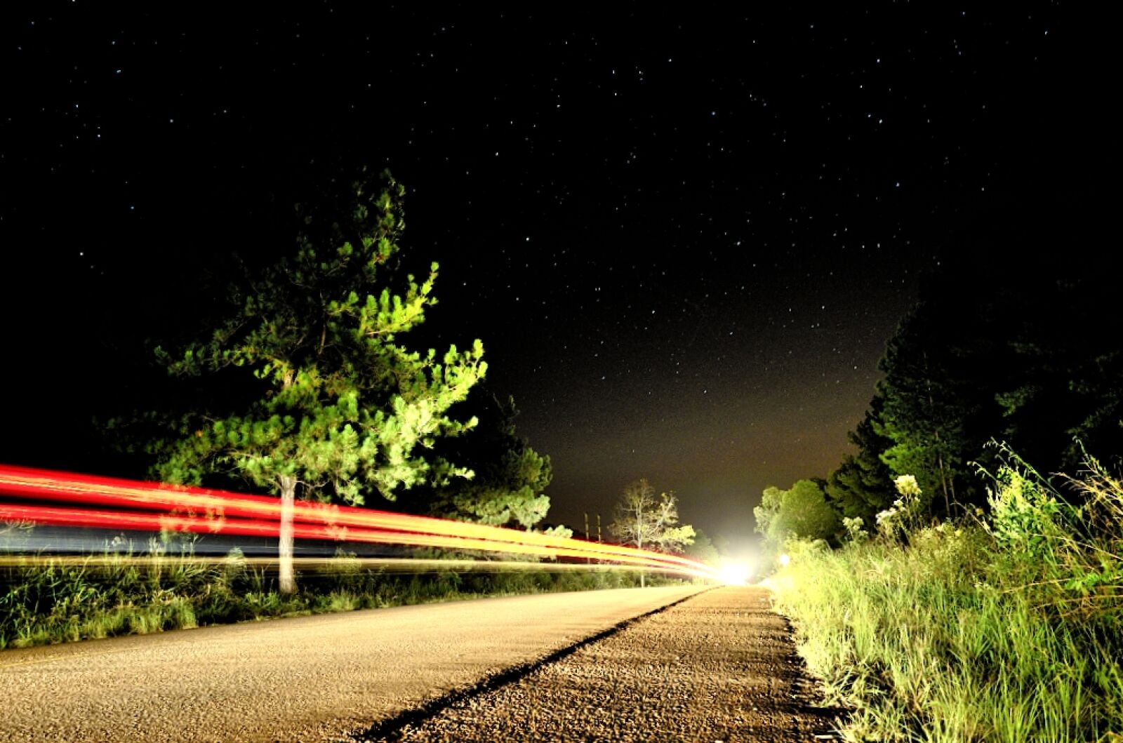 Nikon D5100 sample photo