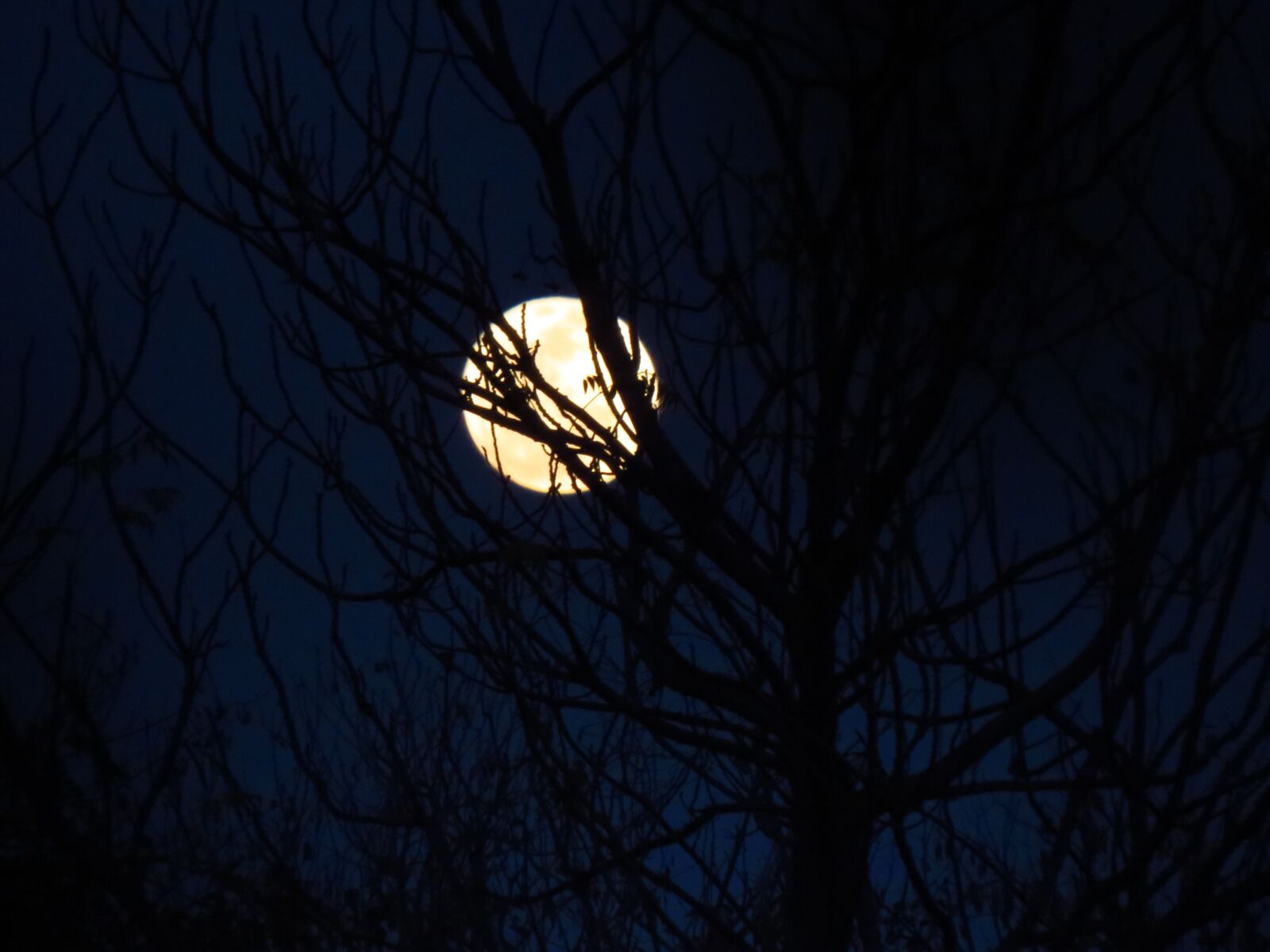 Canon PowerShot SX50 HS sample photo. Moon, moonlit, blue sky photography