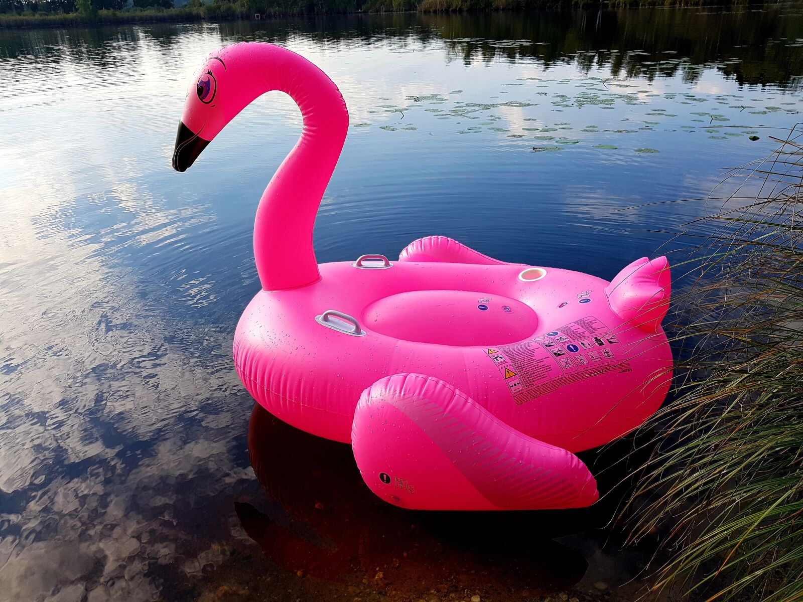 Samsung Galaxy S7 Edge sample photo. Flamingo, pink, lake photography