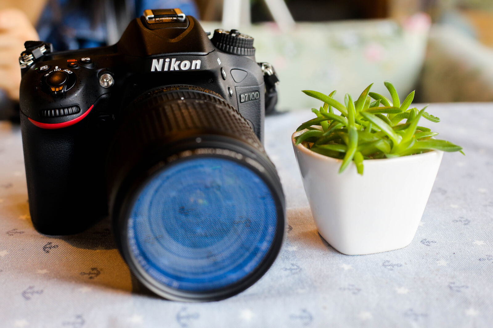 Canon EOS 6D + Canon EF 50mm F1.8 STM sample photo. Camera photography