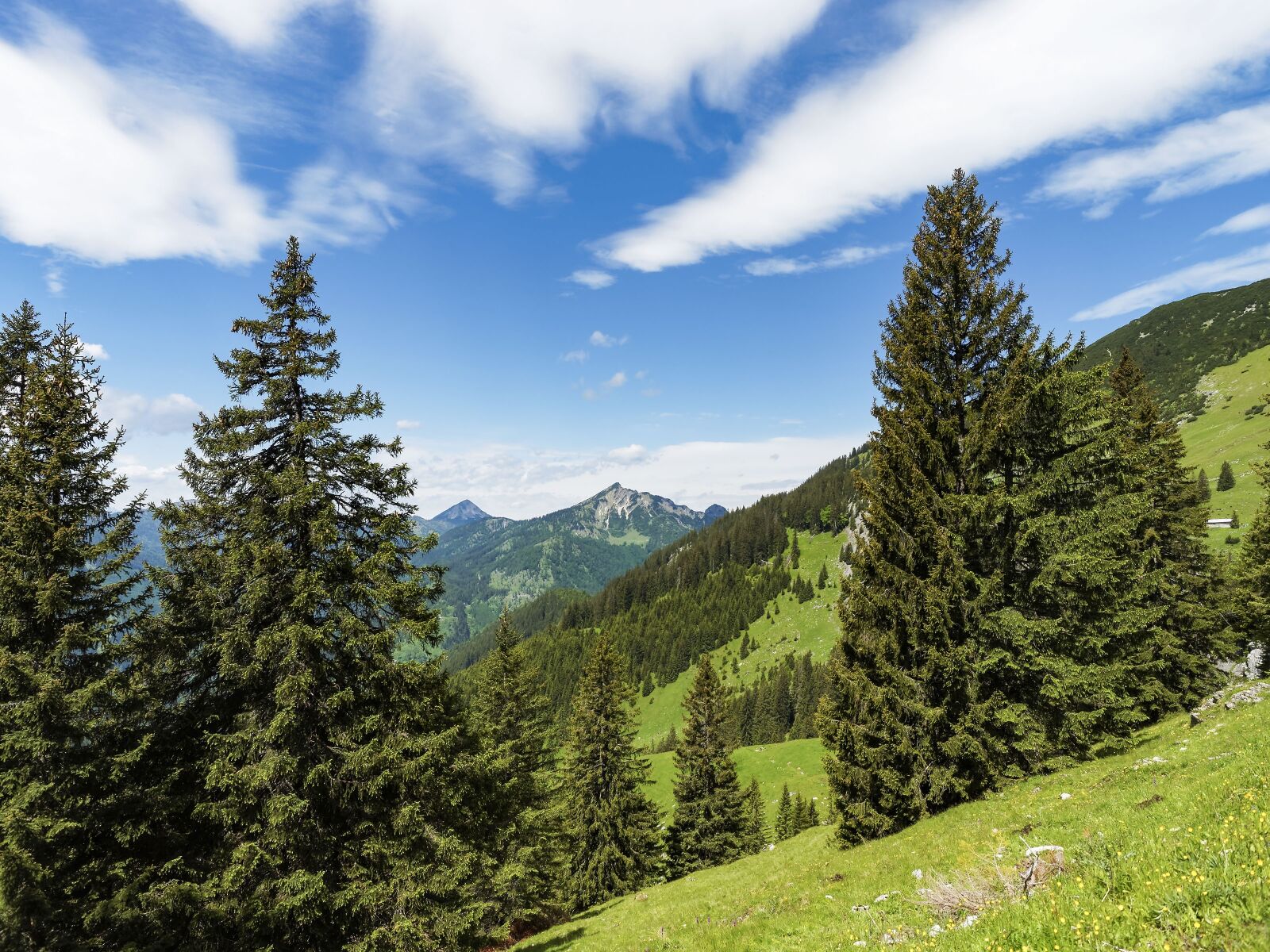 Olympus OM-D E-M1 + Olympus M.Zuiko Digital ED 12-40mm F2.8 Pro sample photo. Mountain, landscapes, alps photography