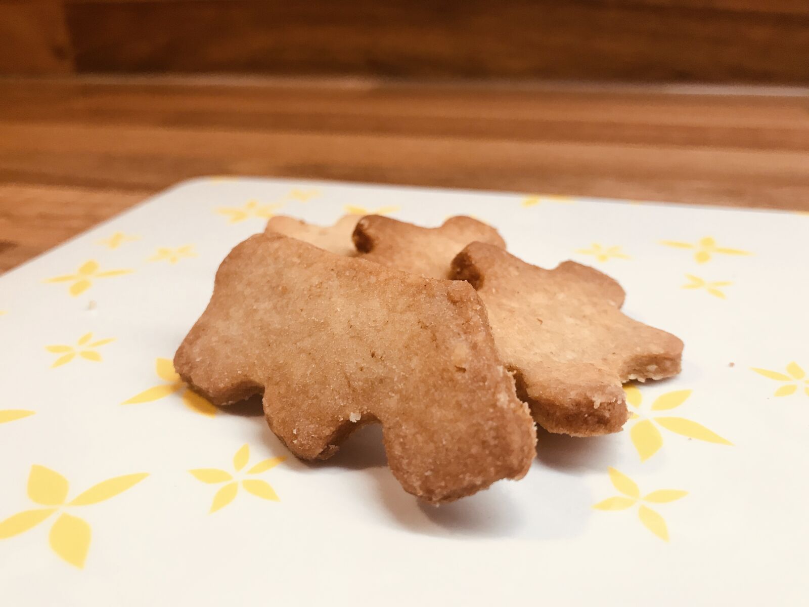 iPhone 7 back camera 3.99mm f/1.8 sample photo. Baking, cookies, hippo photography