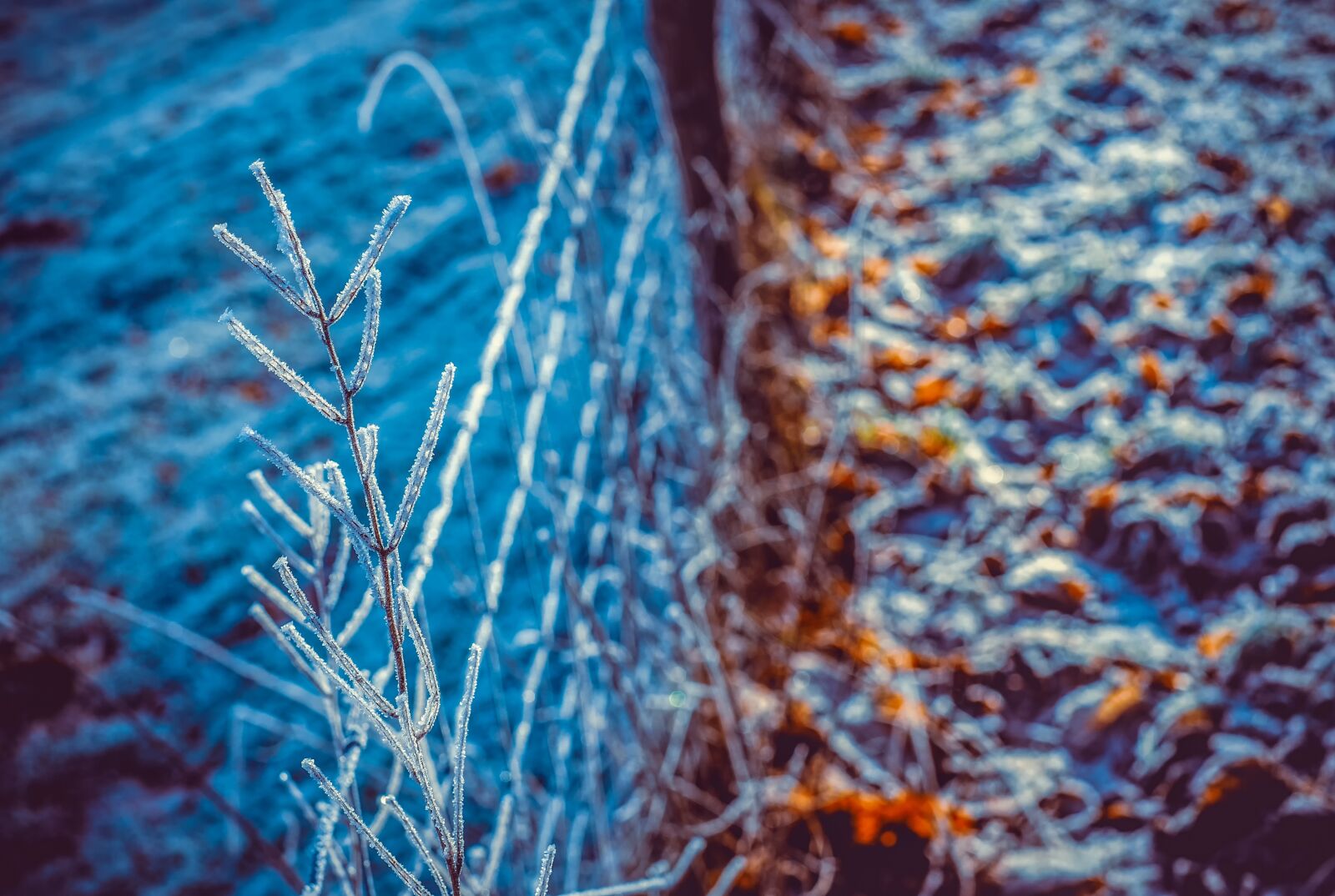 Fujifilm X-T10 + Fujifilm XF 35mm F1.4 R sample photo. Eiskristalle, frost, frozen photography