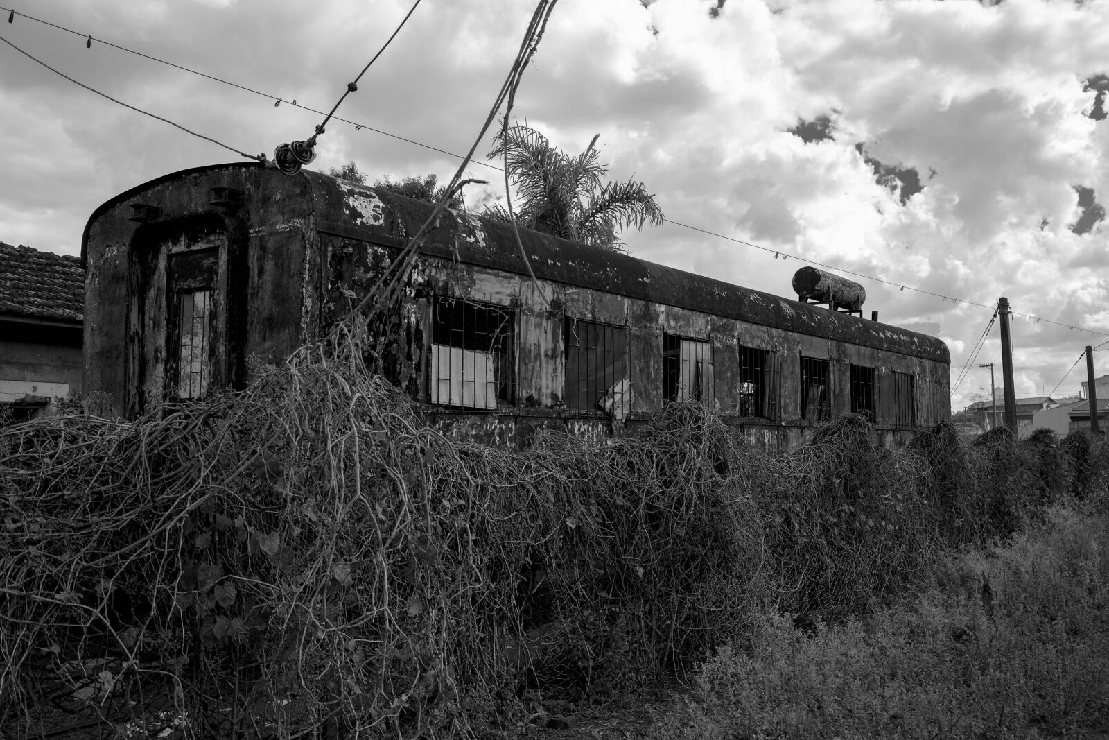 Canon EF 24-105mm F4L IS USM sample photo. Itapetininga, brasil photography