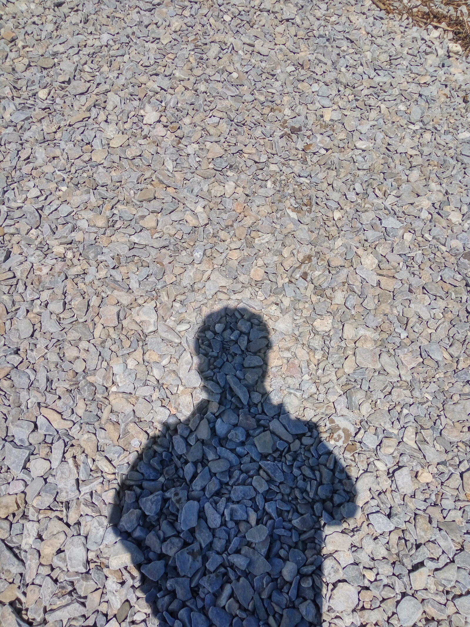 Xiaomi Redmi Note 3 sample photo