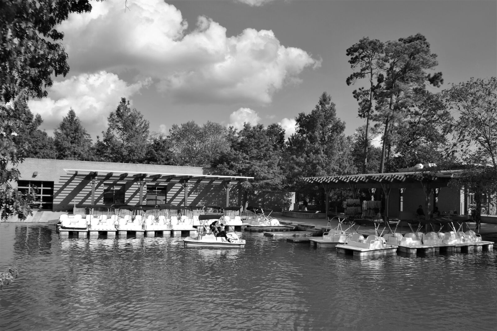 Nikon D3100 sample photo. Boat ride, herman national photography