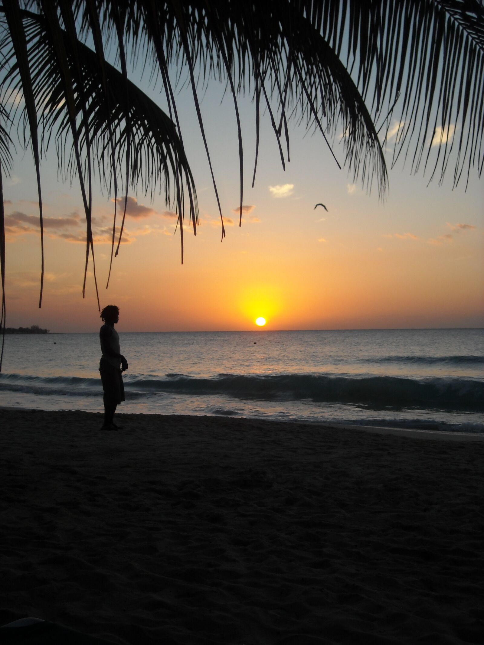 Nikon Coolpix L18 sample photo. Jamaica, sunset, beach photography