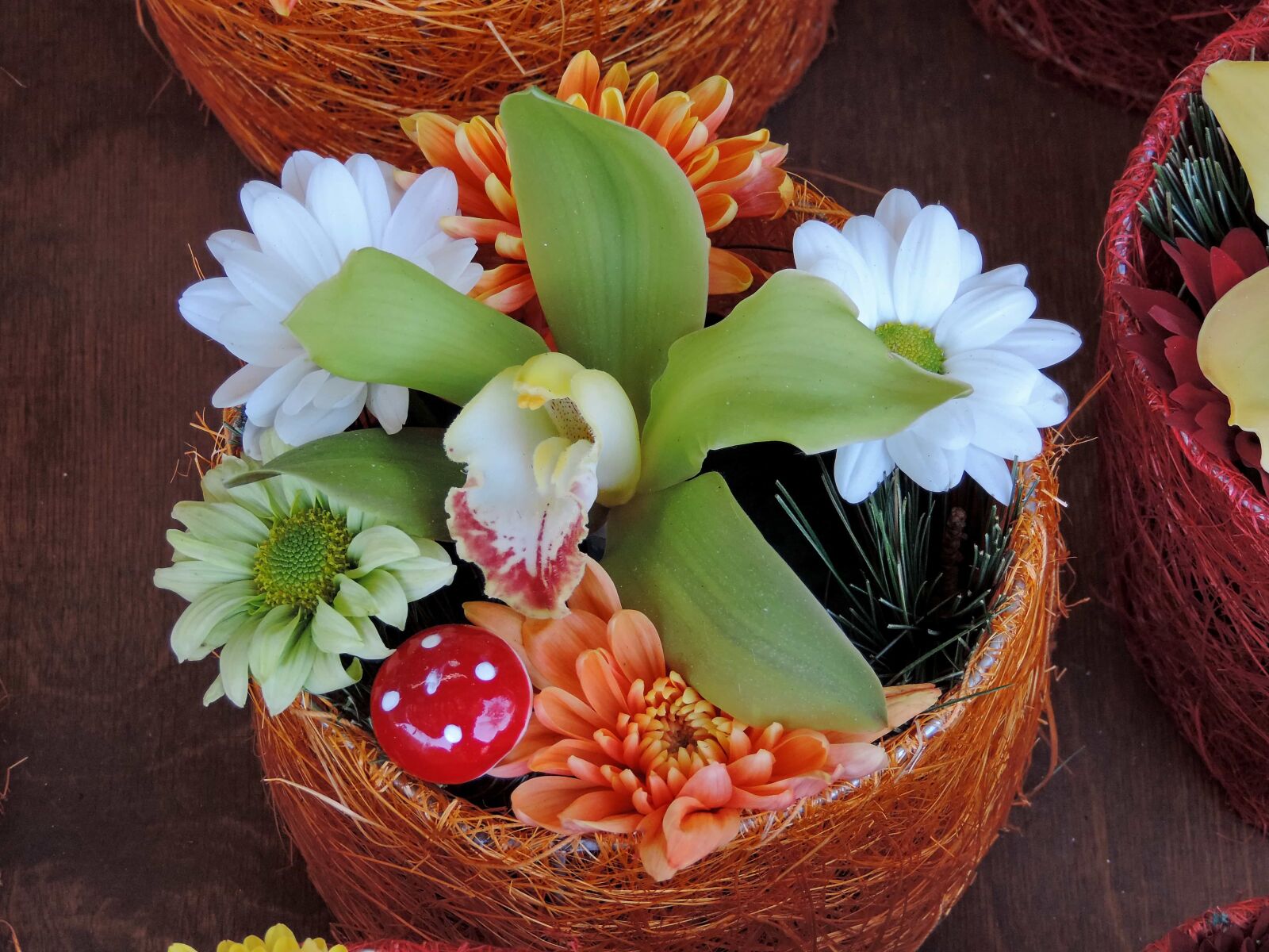 Nikon Coolpix P520 sample photo. Decoration, flowerpot, orchid, arrangement photography
