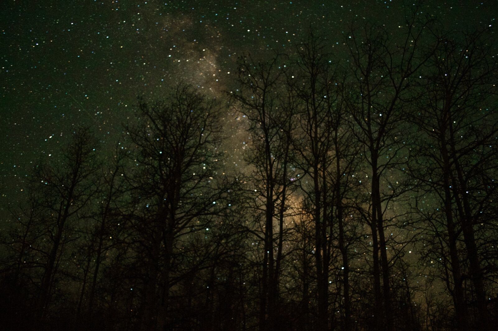 Nikon D3100 sample photo. Night sky, milky way photography