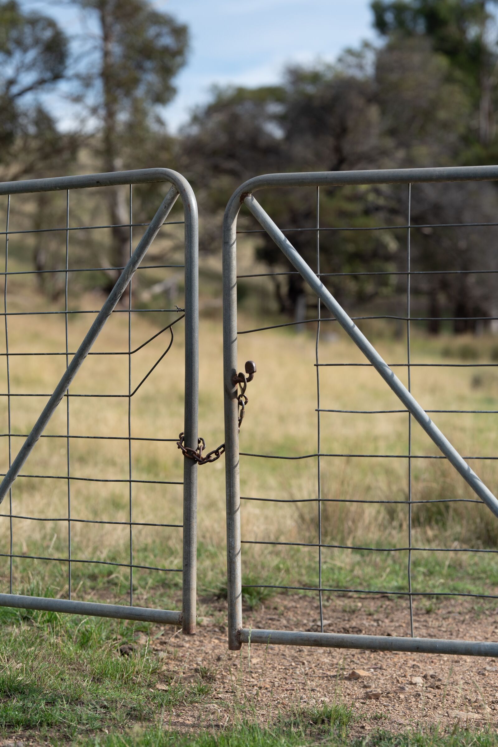 Nikon D750 sample photo. Gate, chain, latch photography