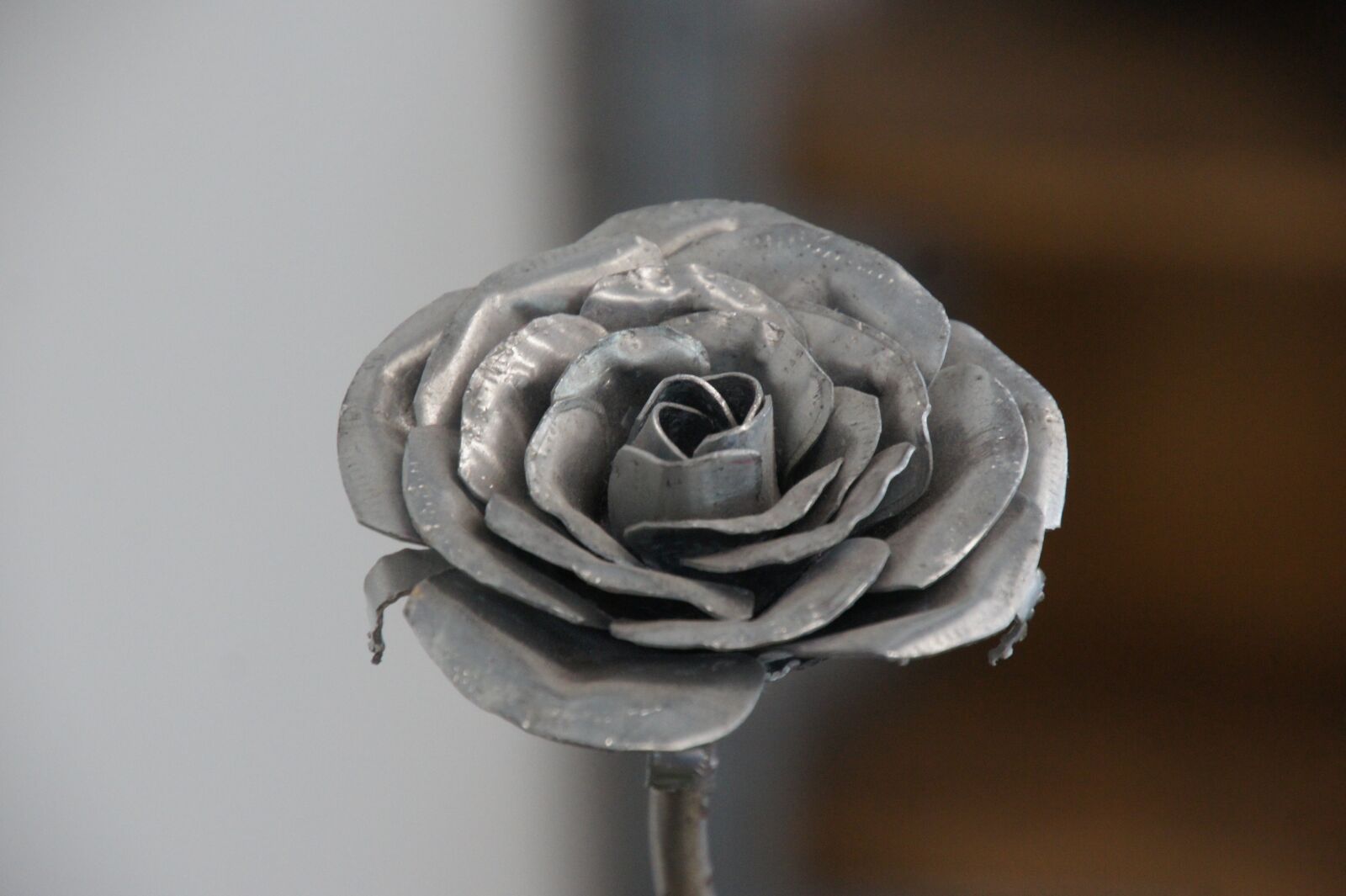 Sony Alpha DSLR-A550 sample photo. Rose, silver, deco photography