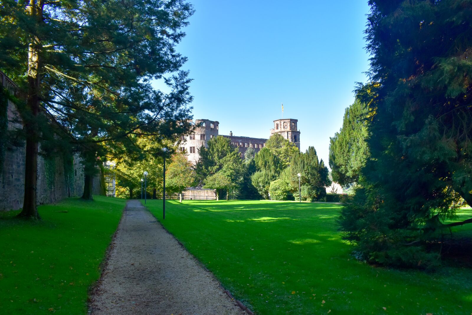 Nikon D5600 sample photo. Germany, gothic, green photography