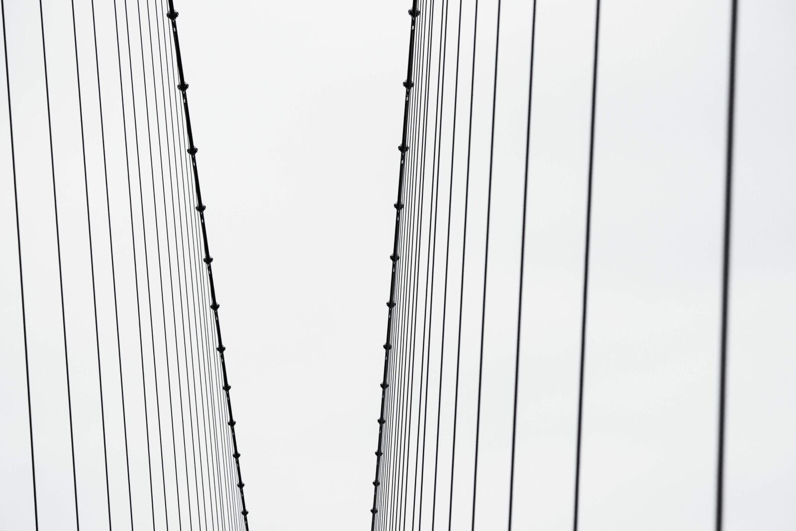 Canon EF-S 55-250mm F4-5.6 IS II sample photo. Steel cables, bridge, architecture photography