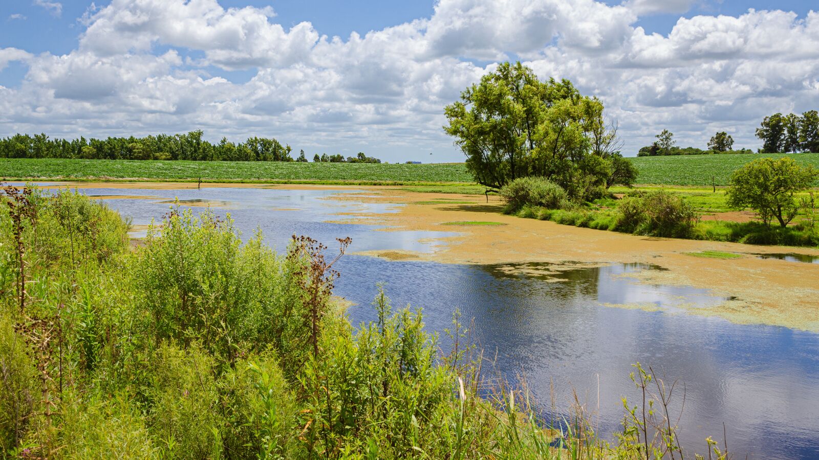 Nikon D7000 sample photo. Lanscape, cloud, sky photography