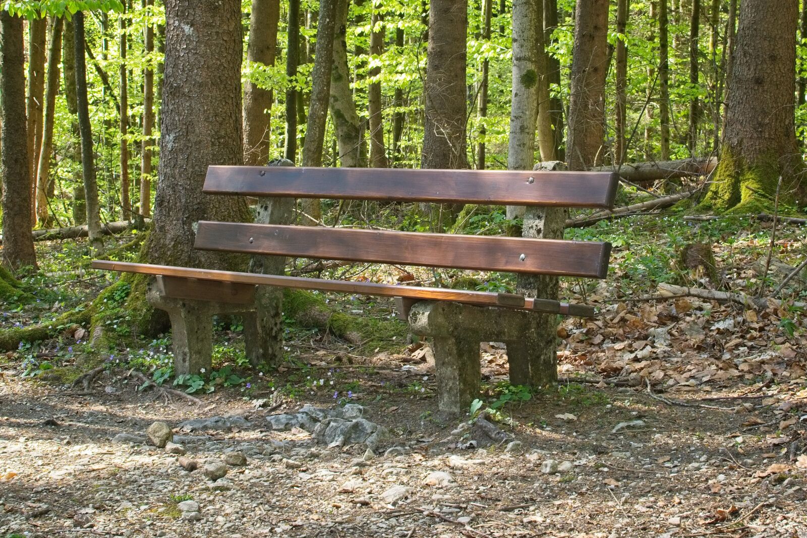 Nikon AF-S DX Nikkor 35mm F1.8G sample photo. Bench, resting place, forest photography