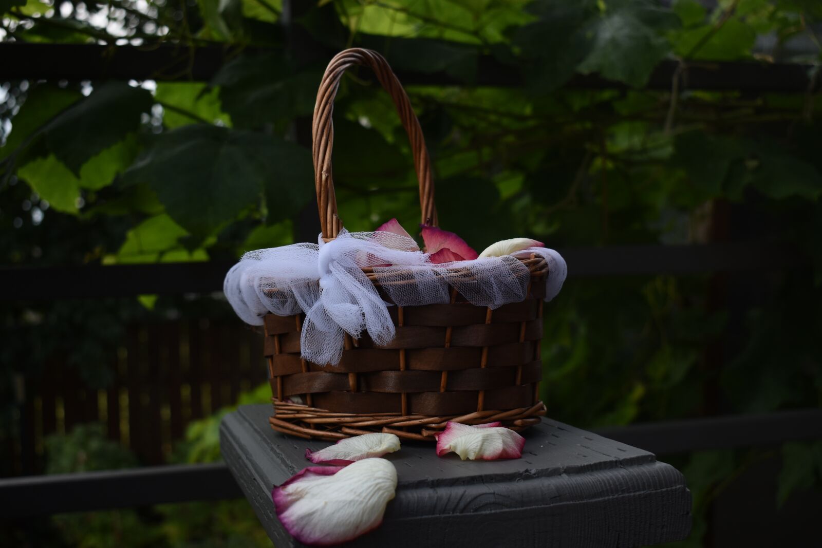Nikon D3500 sample photo. Basket, rose petals, flower photography