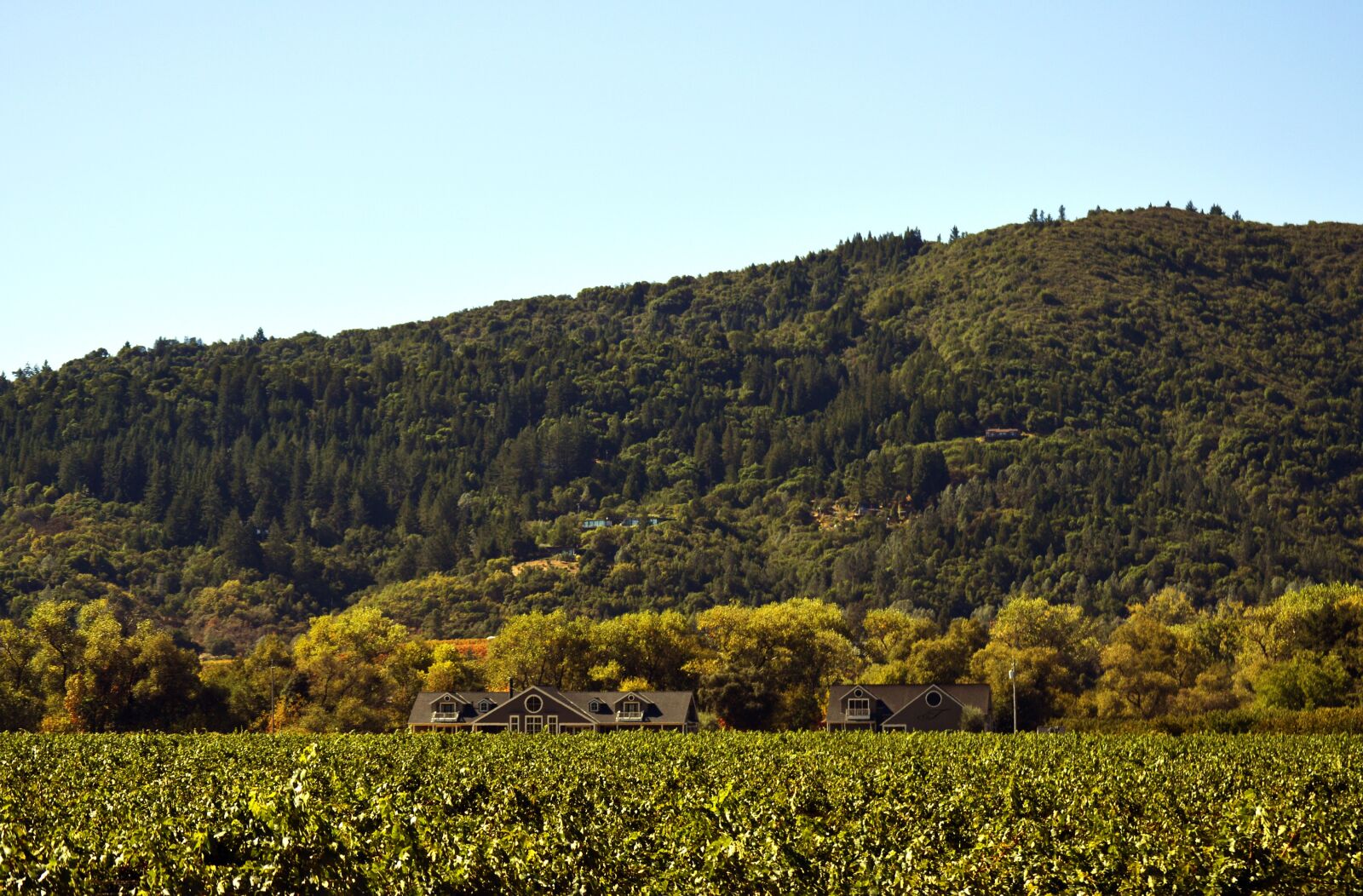 Nikon D3200 sample photo. Landscape, hill, nature photography