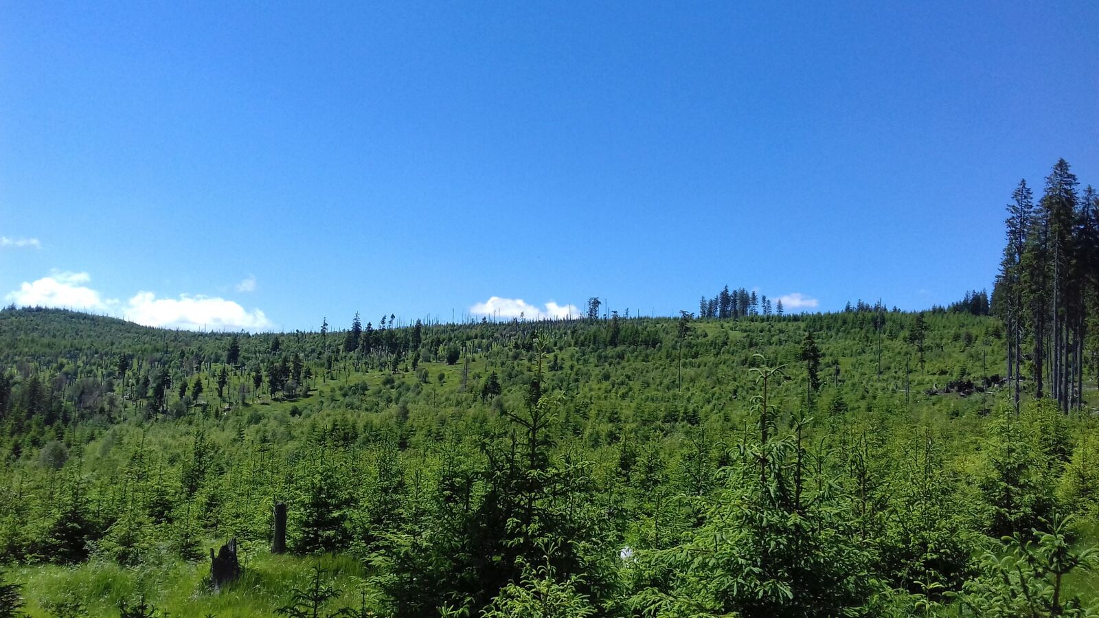 Samsung Galaxy J3(2016) sample photo. Nature, umava national park photography