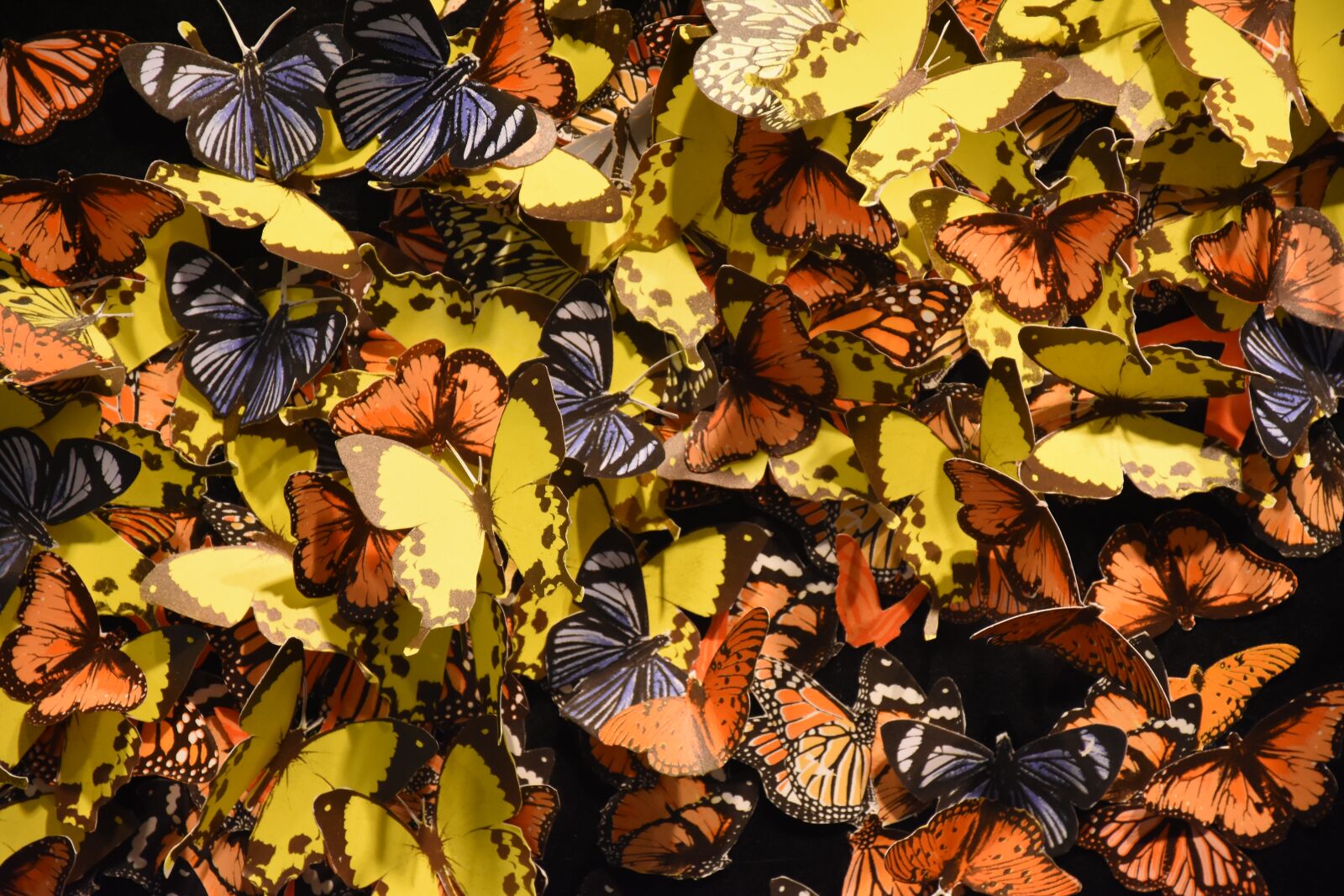 Nikon D7200 sample photo. Butterfly, art, all the photography