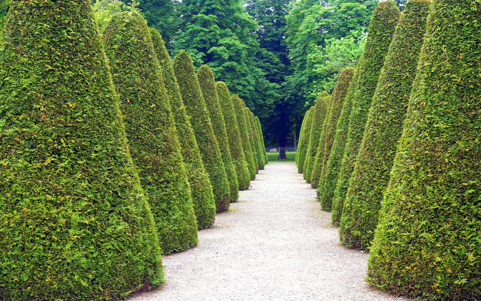 Sony E 16-50mm F3.5-5.6 PZ OSS sample photo. Park, away, shrubs photography