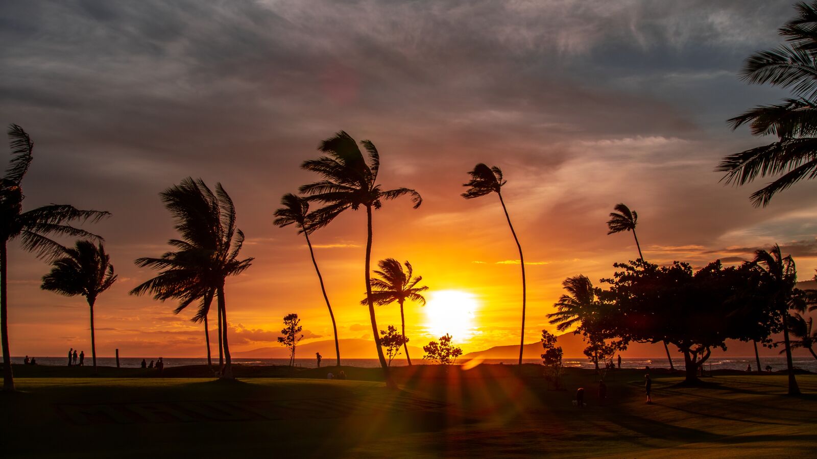 Nikon D7500 sample photo. Maui, hawaii, beach photography