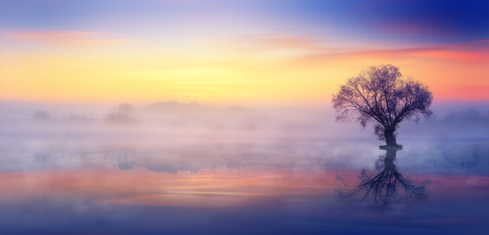 Sony a7 + Sony DT 50mm F1.8 SAM sample photo. Nature, sunset, dawn photography