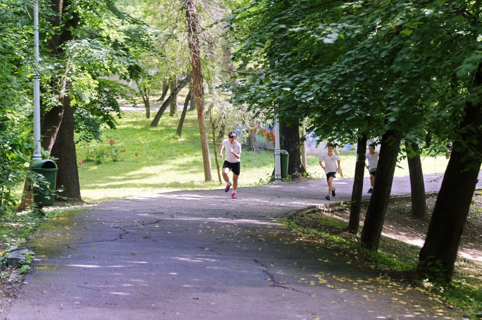 Nikon D5300 sample photo. Landscape, park, nature photography